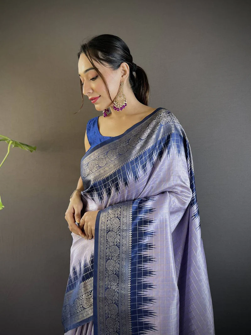 Signature Wine Chiffon Saree — Embellished Chiffon