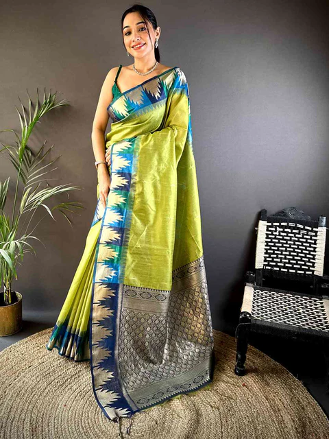 Pure Ivory Organza Saree — Printed Organza