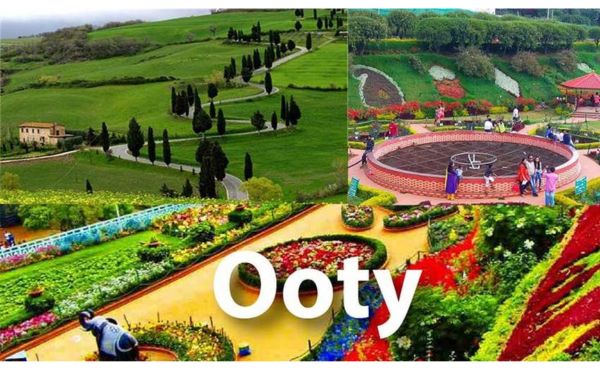 Ooty products